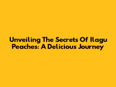 Unveiling The Secrets Of Ilagu Peaches: A Delicious Journey
